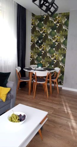 received_369351694115796